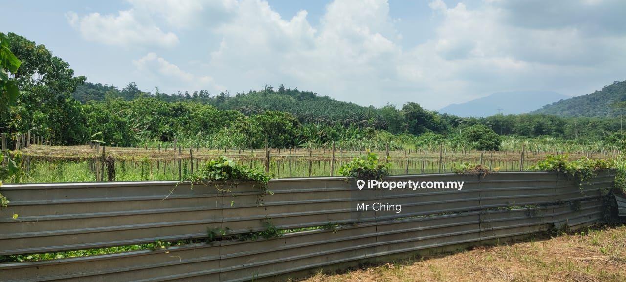Tanah Pertanian untuk Dijual di Kampung Baru, Kerling oleh Mr Ching - iProperty.com.my