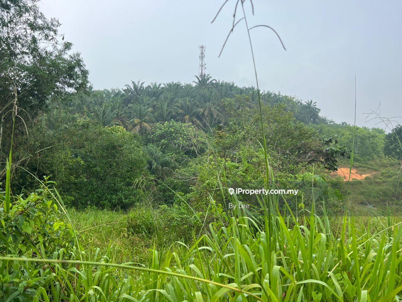 Tanah Pertanian untuk Disewa di Seelong, Senai oleh By Lee - iProperty.com.my