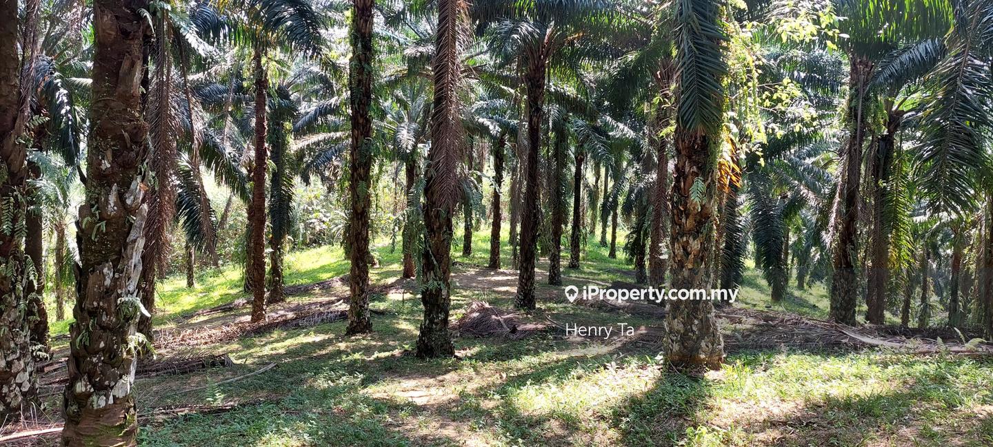 Tanah Perindustrian untuk Dijual di Hulu Semenyih, Semenyih oleh Henry Ta - iProperty.com.my