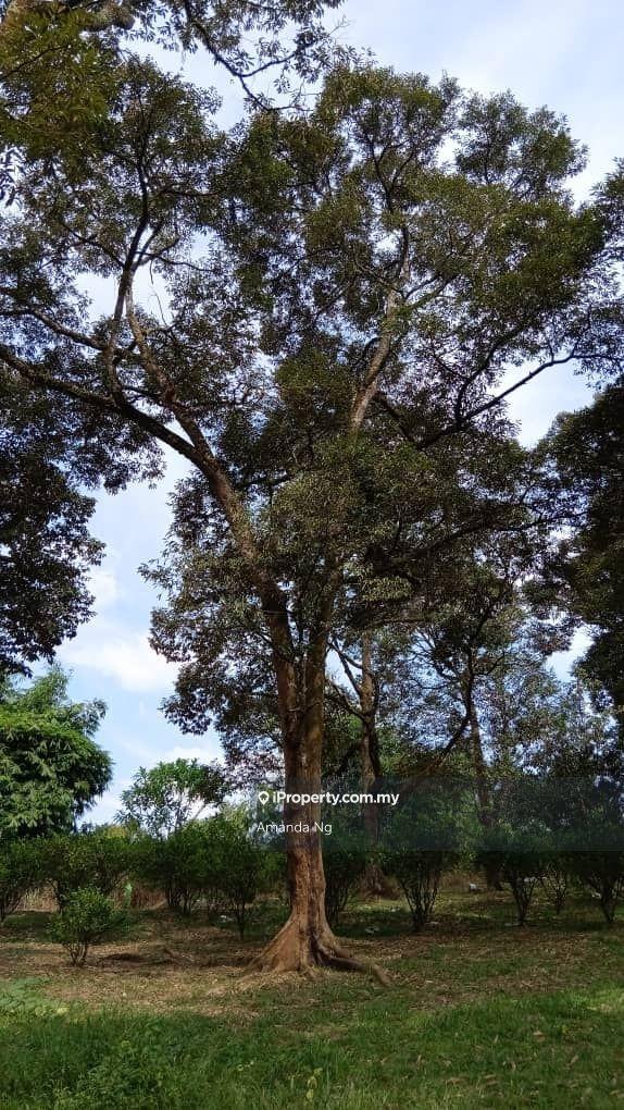 Agricultural Land for Sale in Antara Gapi, Ulu Yam by Amanda Ng - iProperty.com.my