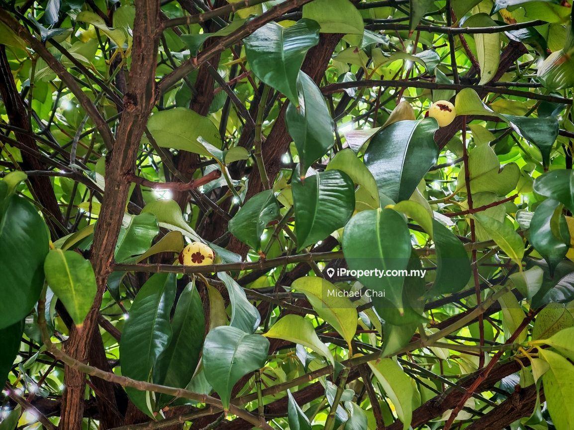 2-storey Terraced House for Sale in U8, Taman Bukit Jelutong, Shah Alam by Michael Chai - iProperty.com.my