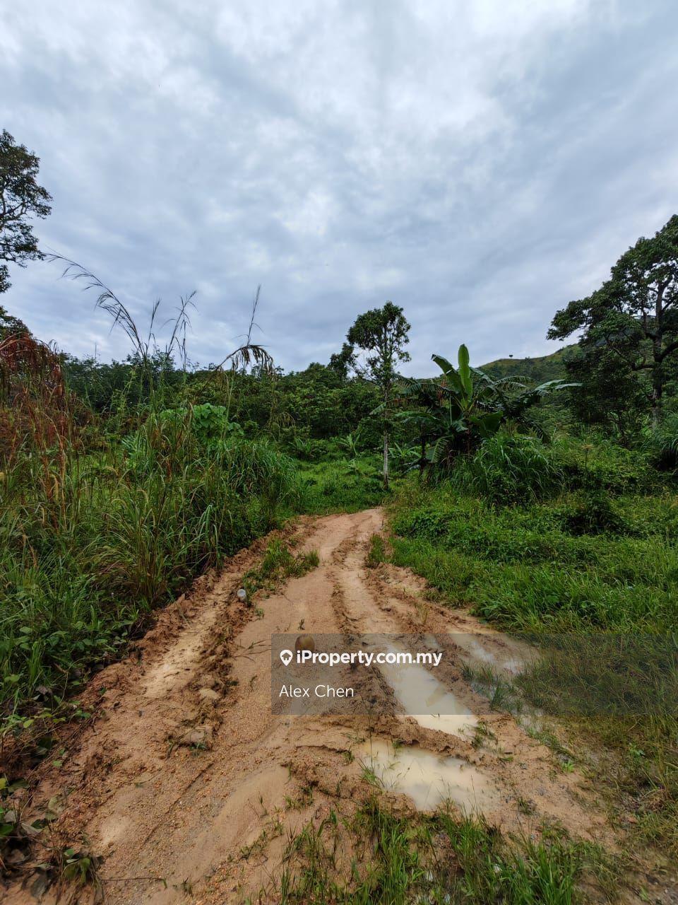 Agricultural Land for Sale in Broga, Lenggeng by Alex Chen - iProperty.com.my
