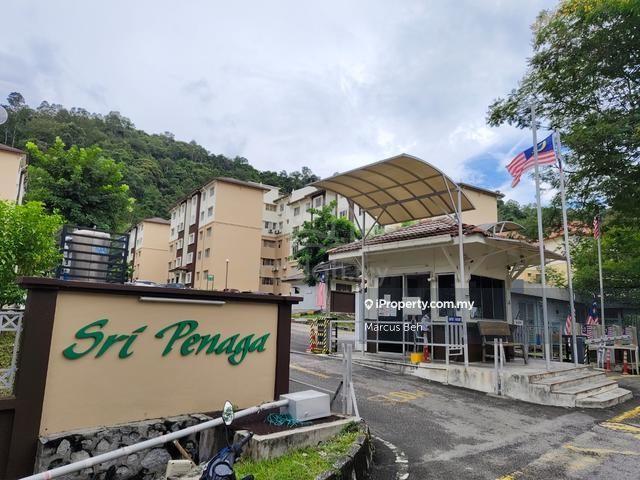 Apartment for Rent in Sri Penaga by Marcus Beh - iProperty.com.my