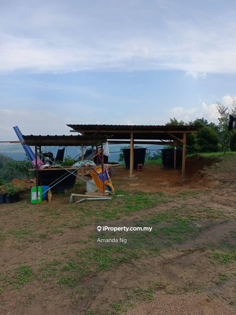 Agricultural Land for Sale in Kuala Lipis mukim penjom, Kuala Lipis by Amanda Ng - iProperty.com.my