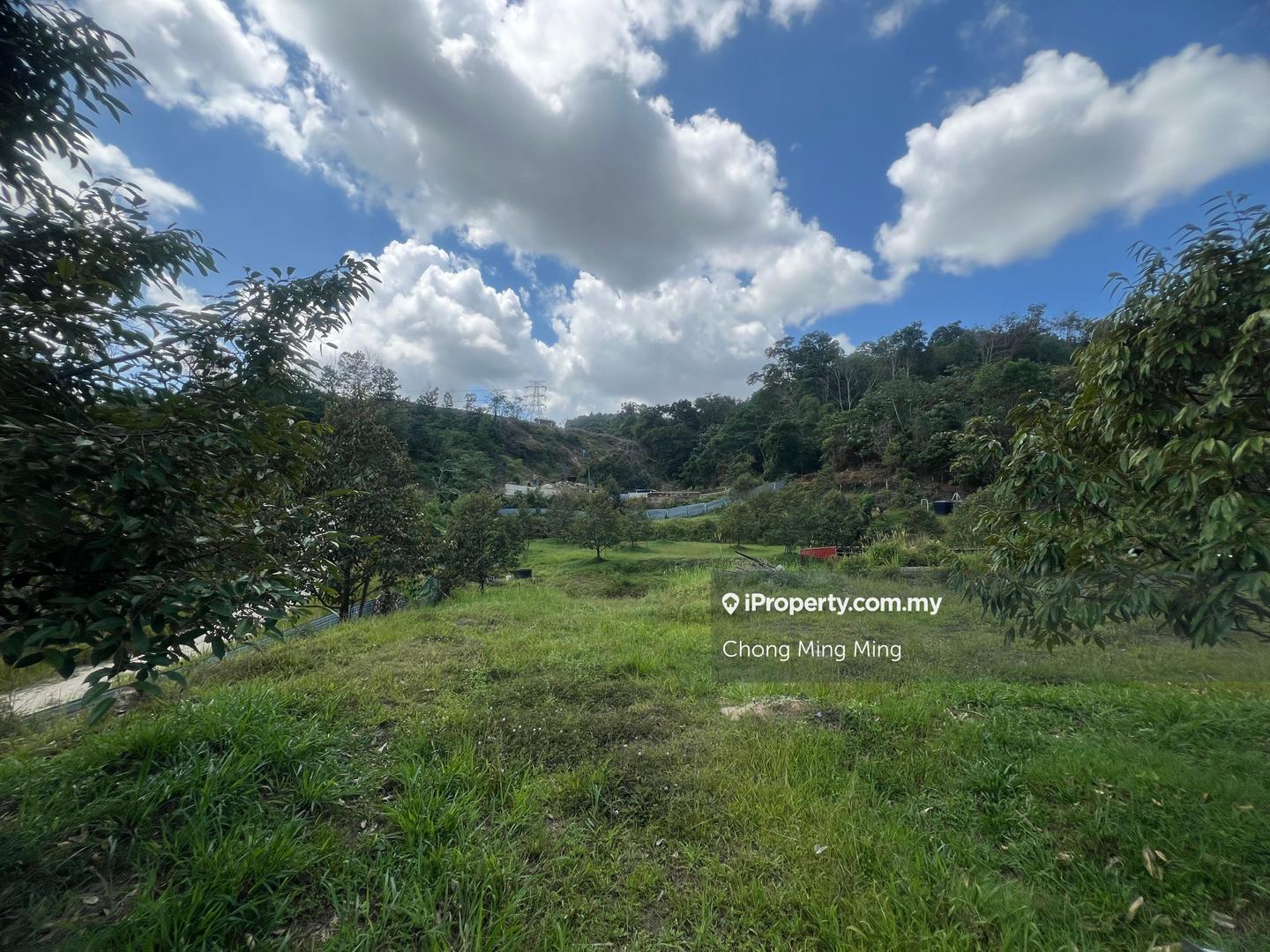 Tanah Pertanian untuk Dijual di Kampung Pantai, Pantai oleh Chong Ming Ming - iProperty.com.my