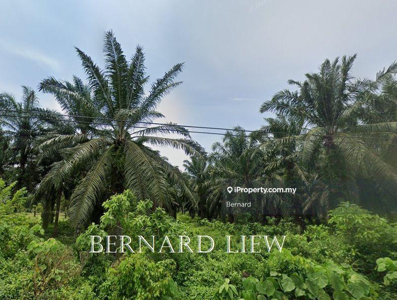 Tanah Perindustrian untuk Dijual di Perkampungan Sungai Kechil, Sungai Jawi oleh Bernard - iProperty.com.my