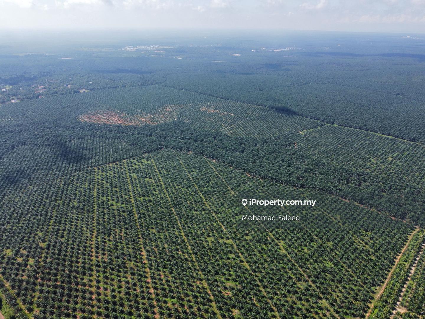 Tanah Perindustrian untuk Dijual di Kuantan, Pahang oleh Mohamad Faleeq - iProperty.com.my