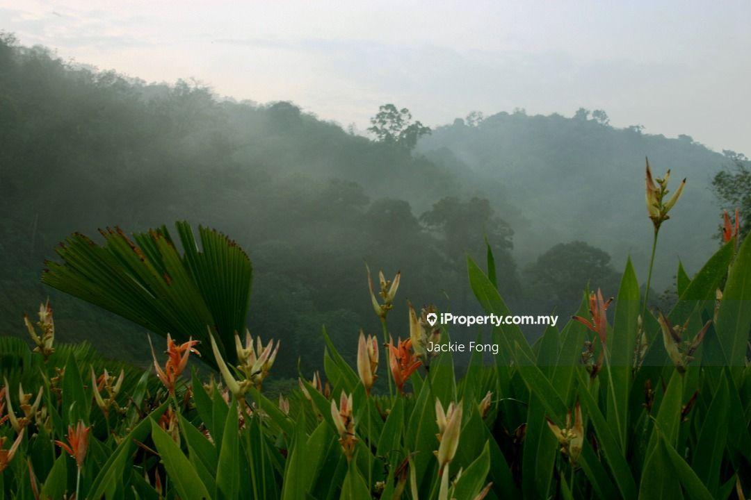 Bungalow House for Sale in Country Heights Damansara, Kuala Lumpur by Jackie Fong - iProperty.com.my