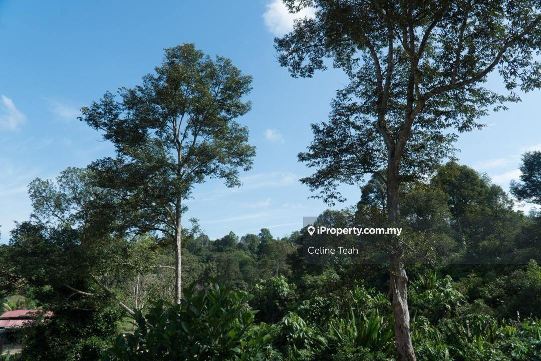 Agricultural Land for Sale in Papar Fruits Farm, Papar by Celine Teah - iProperty.com.my