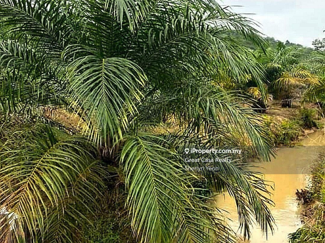 Agricultural Land for Sale in Behrang Stesen, Tanjung Malim by Sherlyn Yeoh - iProperty.com.my