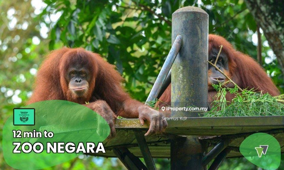 Hotel / Resort untuk Dijual di Taman Danau Kota, Setapak oleh Seamus Kor - iProperty.com.my