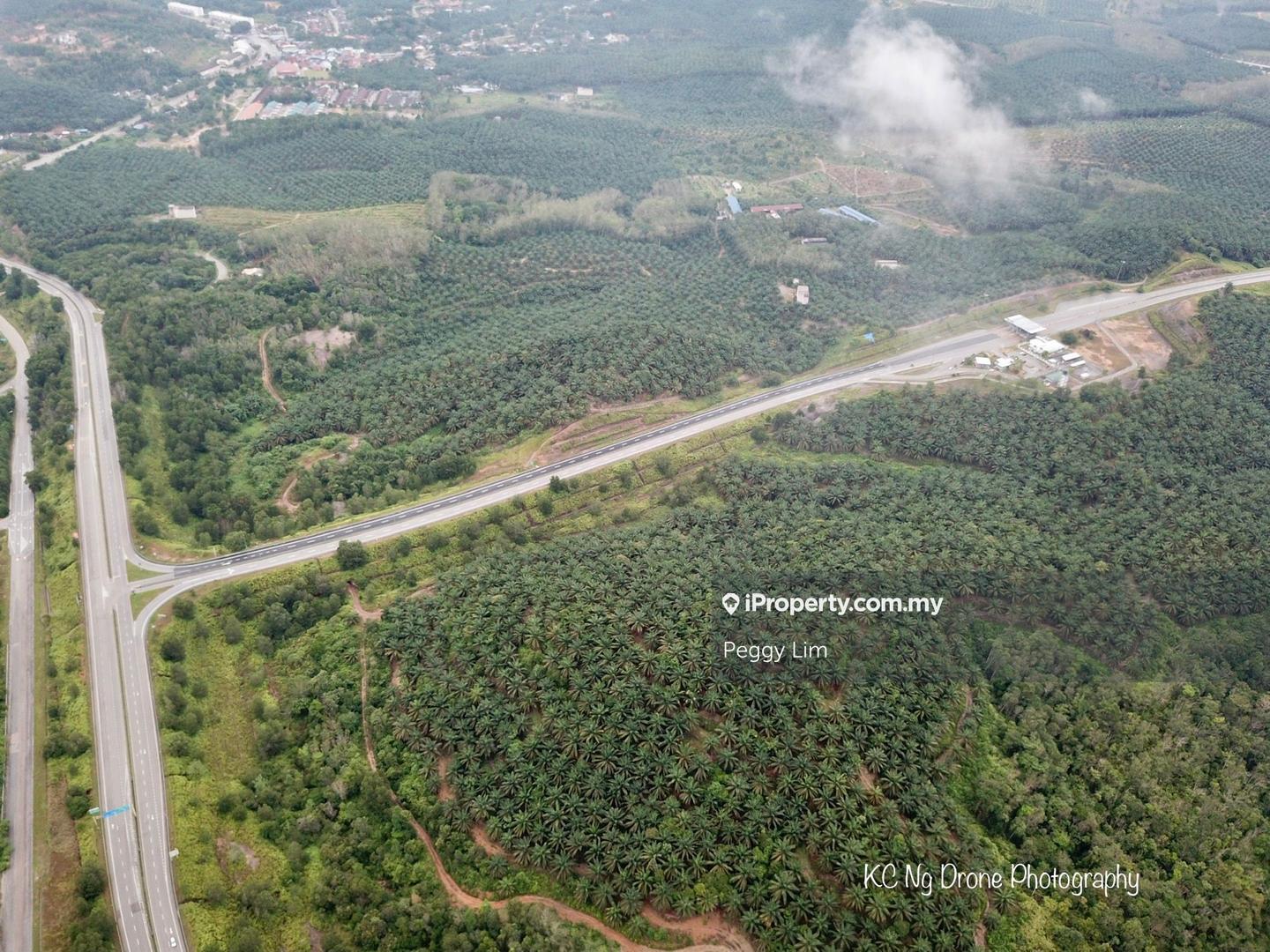 Agricultural Land for Sale in Sri Jaya, Maran by Peggy Lim - iProperty.com.my