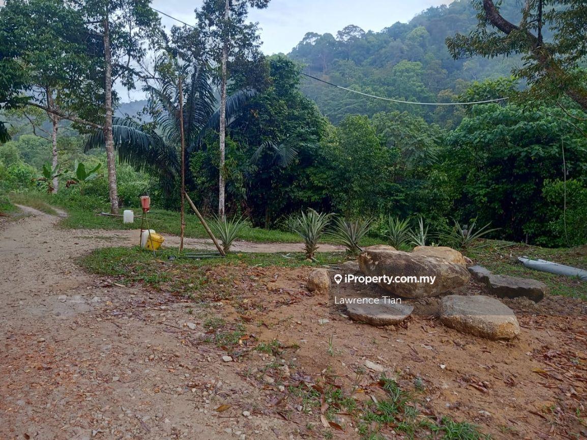 Tanah Pertanian untuk Dijual di Taman Desa Damai, Bentong oleh Lawrence Tian - iProperty.com.my