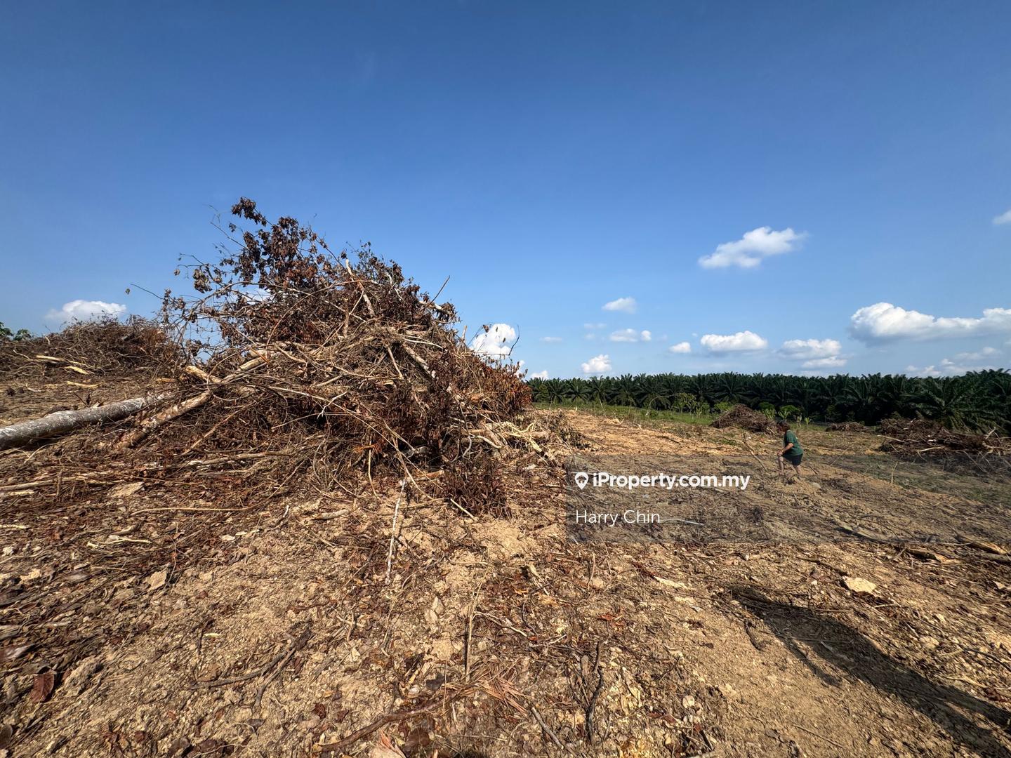 Tanah Pertanian untuk Dijual di 2.2ac beside main road, Lanchang, Karak oleh Harry Chin - iProperty.com.my