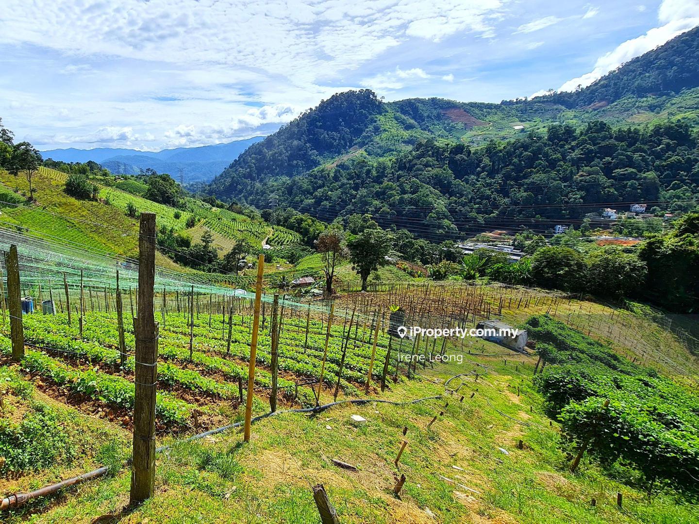 Agricultural Land for Sale in Genting Highlands, Bentong by Irene Leong - iProperty.com.my