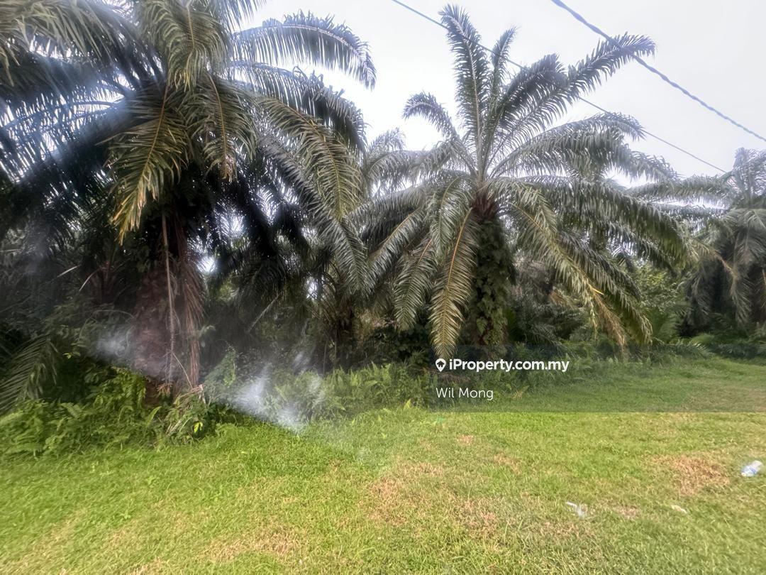 Tanah Pertanian untuk Dijual di KLIA,Jugra,kampung kahtong, Banting oleh Wil Mong - iProperty.com.my