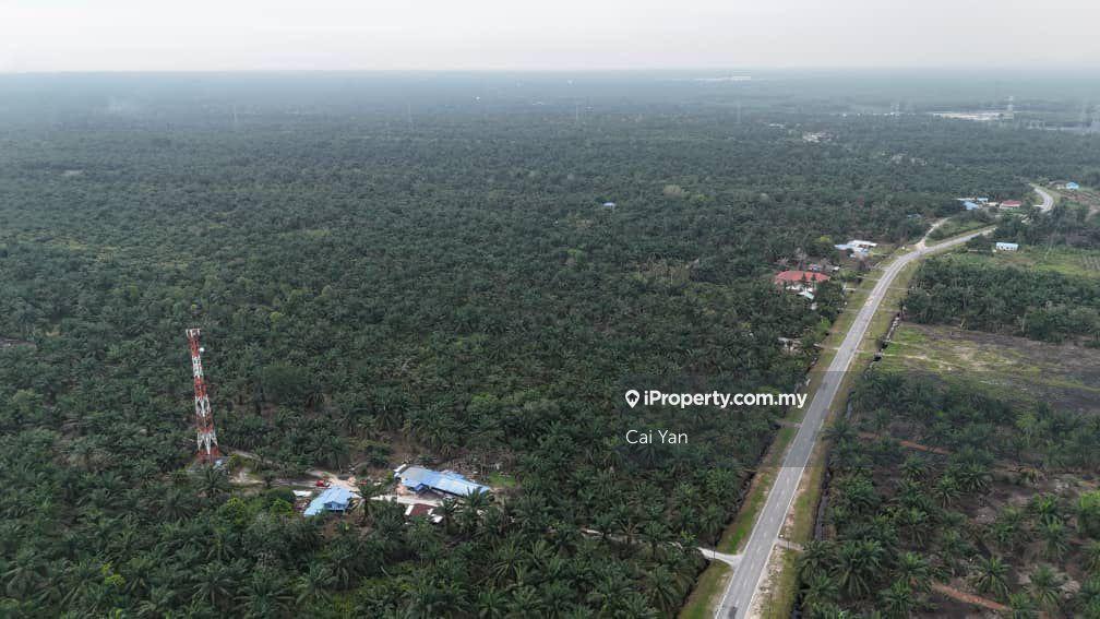 Agricultural Land for Sale in Padang Meha, Kedah by Cai Yan - iProperty.com.my