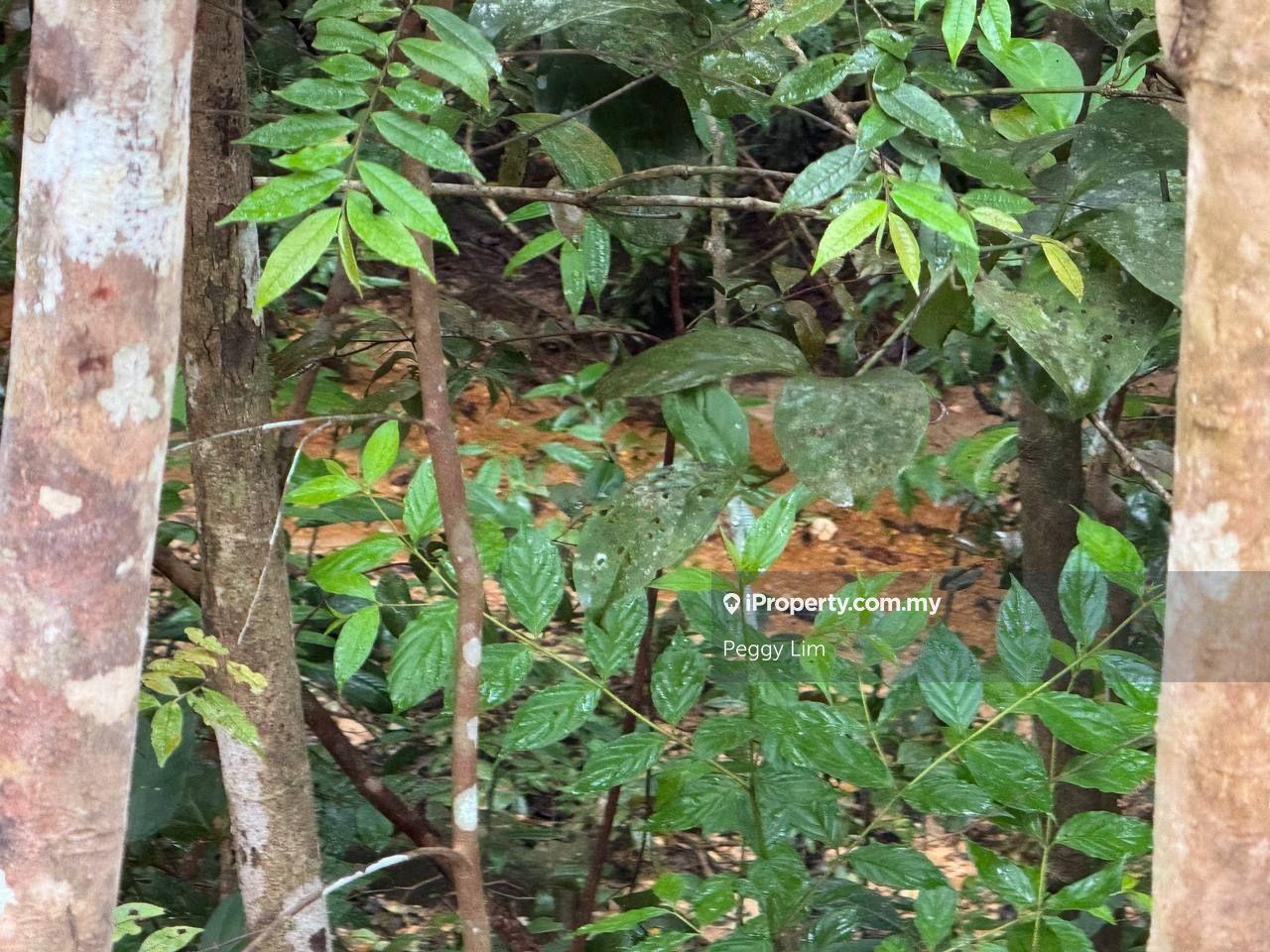 Agricultural Land for Sale in Rasa, Selangor by Peggy Lim - iProperty.com.my