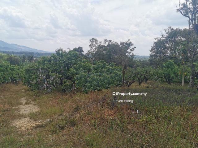 Agricultural Land for Sale in Mantin Pajam Nilai Seremban Agriculture Land WTS, Seremban by Steven Wong - iProperty.com.my