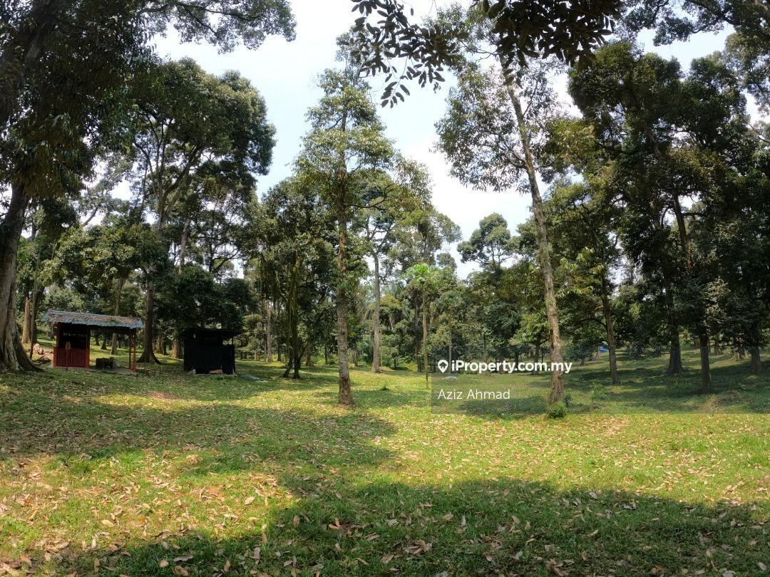 Agricultural Land for Sale in Salak Tinggi, Sepang by Aziz Ahmad - iProperty.com.my