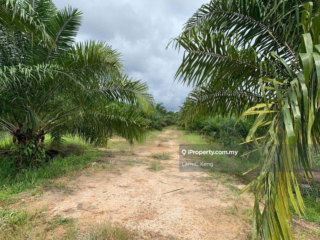 Agricultural Land for Sale in Kampung Sri Broga, Semenyih by Lam C Keng - iProperty.com.my
