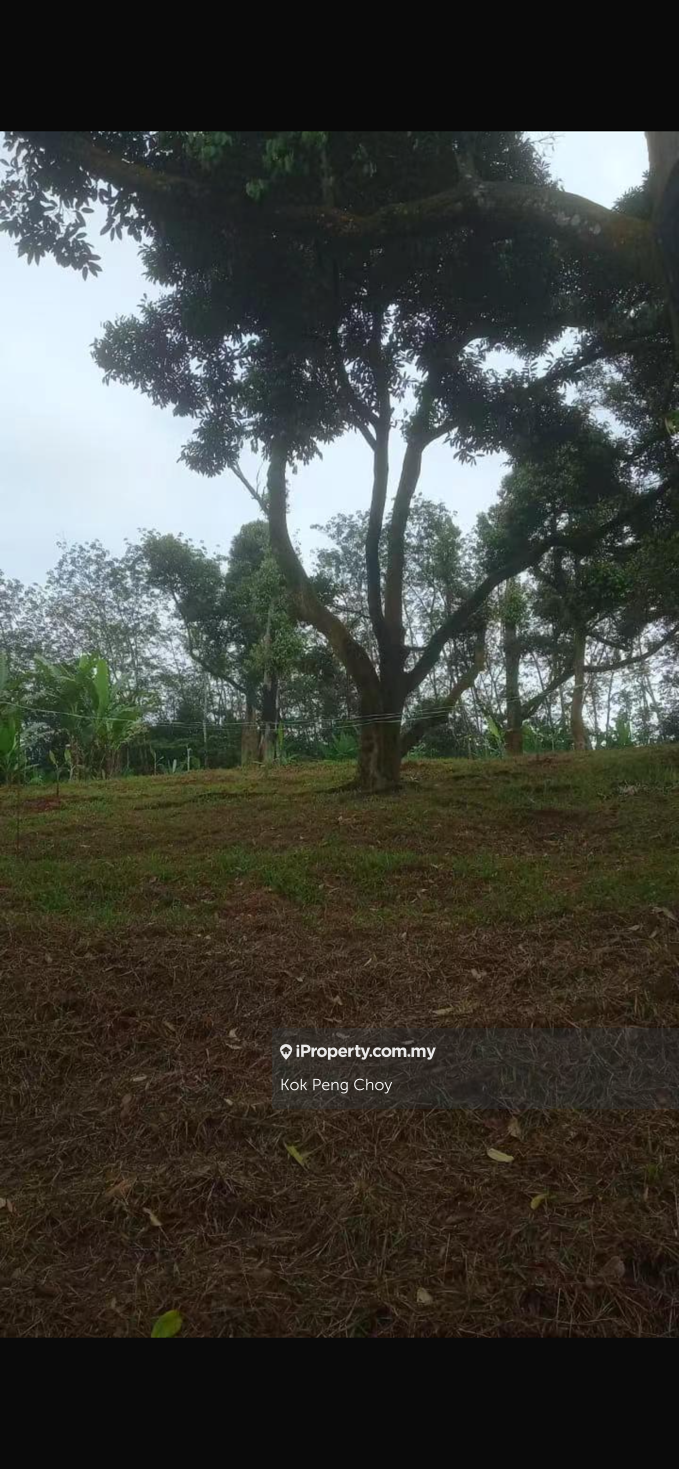 Agricultural Land for Sale in Sungkai, Perak by Kok Peng Choy - iProperty.com.my