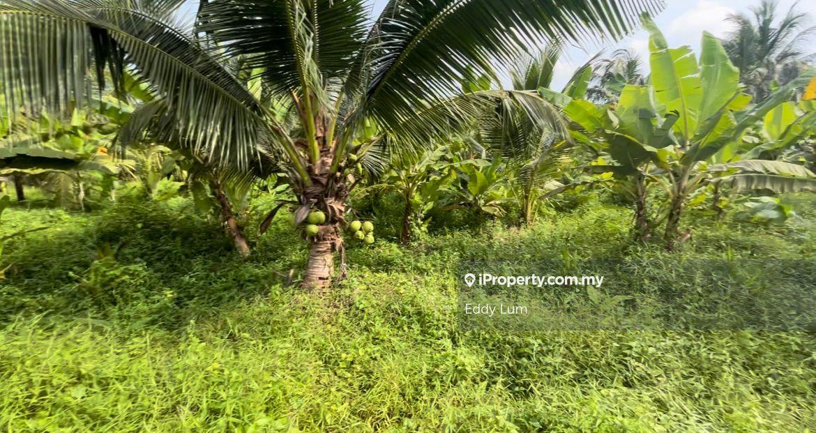Tanah Perindustrian untuk Dijual di Teluk Gong, Port Klang (Pelabuhan Klang) oleh Eddy Lum - iProperty.com.my