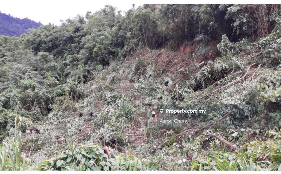 Tanah Pertanian untuk Dijual di Ranau, Sabah oleh Aaron Chong - iProperty.com.my