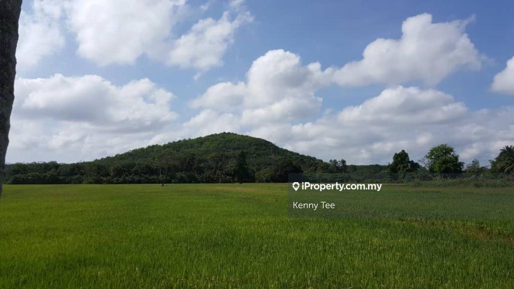 Tanah Pertanian untuk Dijual di Simpang Durian, Negeri Sembilan oleh Kenny Tee - iProperty.com.my