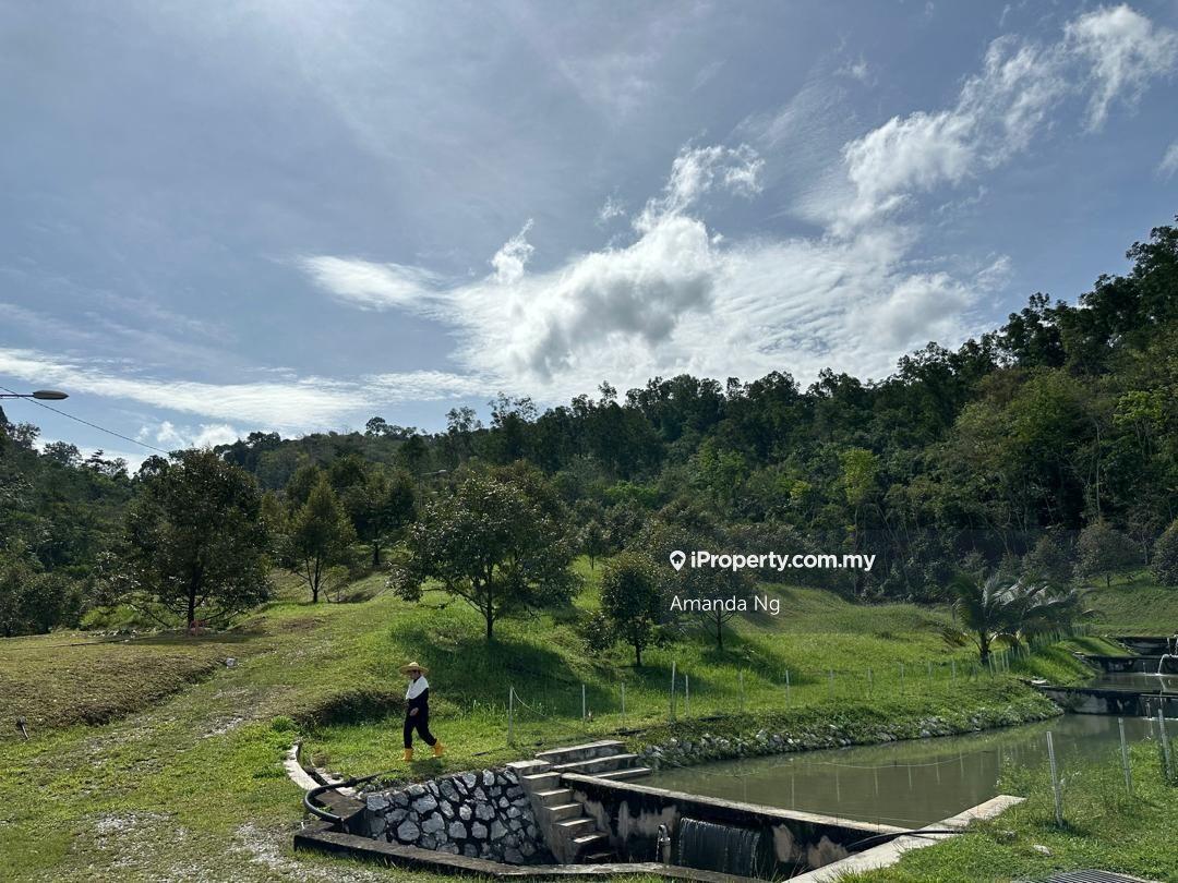 Agricultural Land for Sale in Serendah, Rawang by Amanda Ng - iProperty.com.my