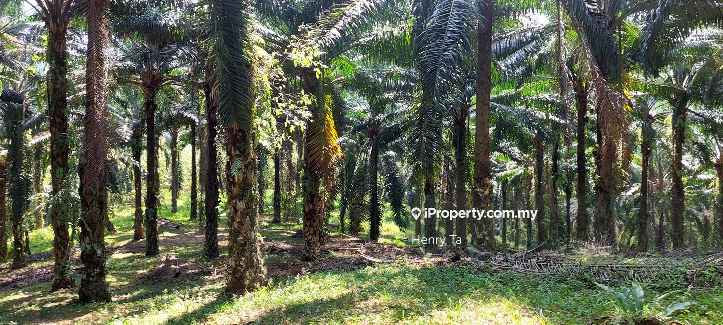 Tanah Perindustrian untuk Dijual di Hulu Semenyih, Semenyih oleh Henry Ta - iProperty.com.my