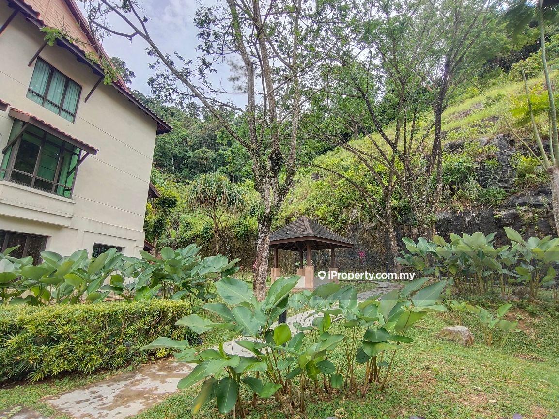 Rumah Berangkai 3 Tingkat untuk Disewa di Tanjung Bungah, Penang oleh Daniel Teoh - iProperty.com.my