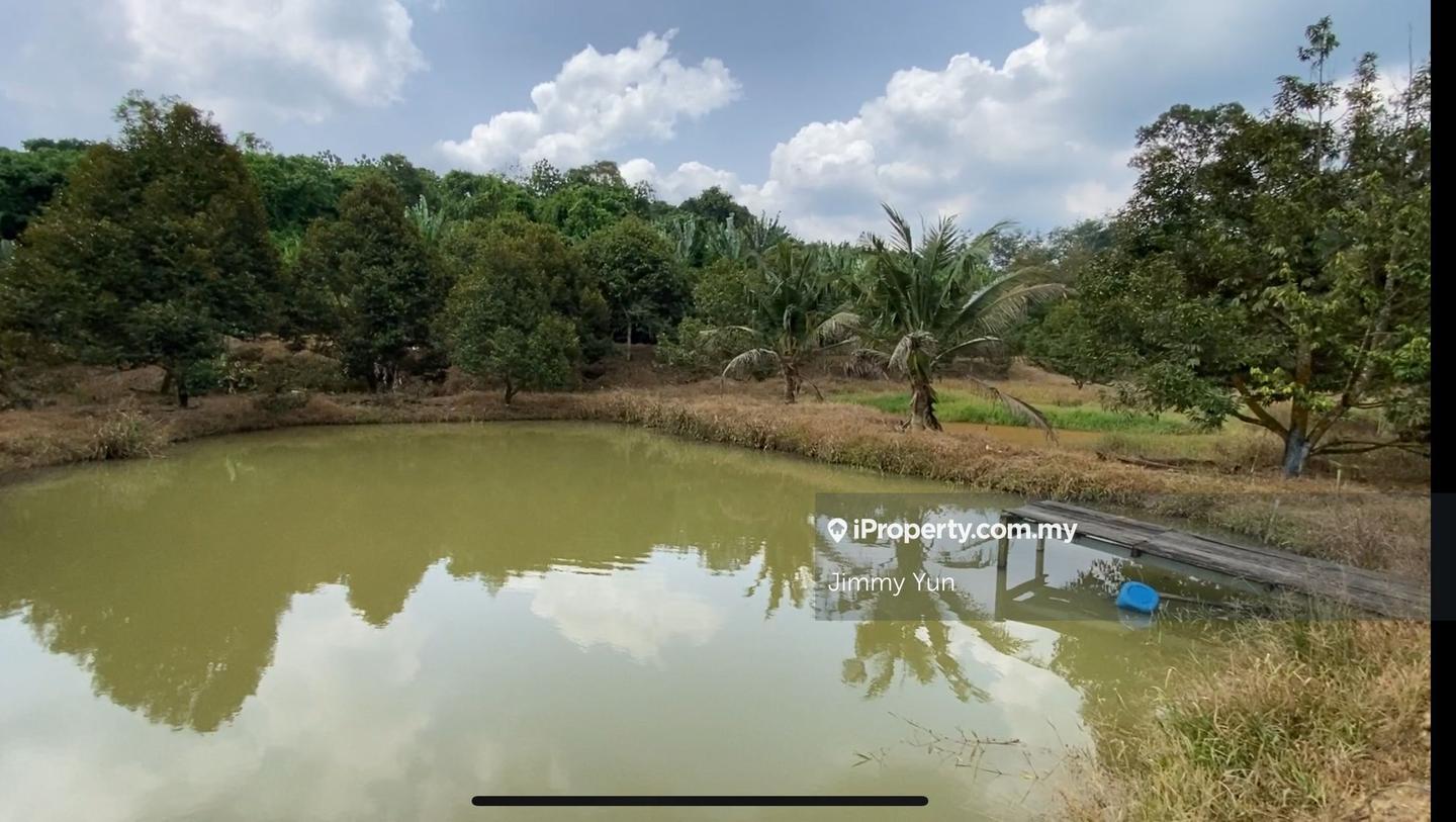 Tanah Pertanian untuk Dijual di Durian Farm For Sale, Titi , Negeri Sembilan, Titi oleh Jimmy Yun - iProperty.com.my