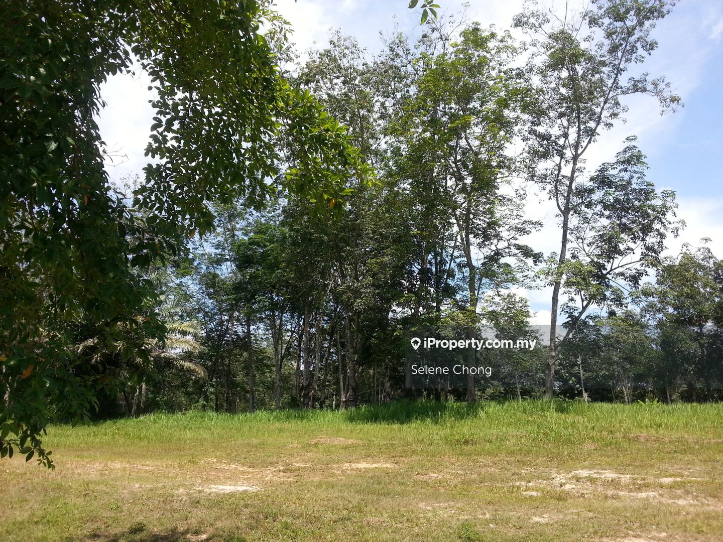 Bungalow Land for Sale in College Heights Garden Resort, Setul by Selene Chong - iProperty.com.my