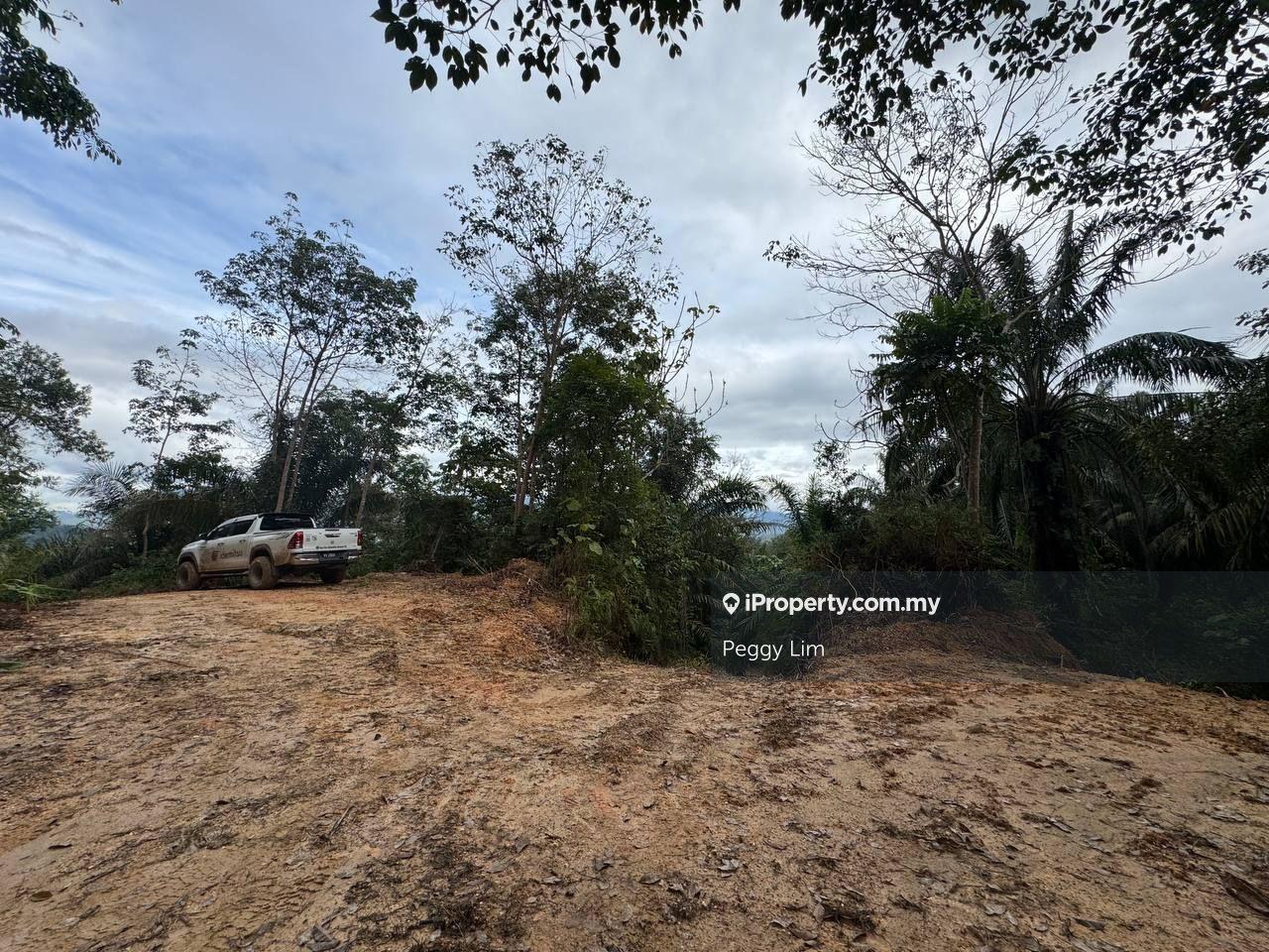 Agricultural Land for Sale in Rasa, Selangor by Peggy Lim - iProperty.com.my