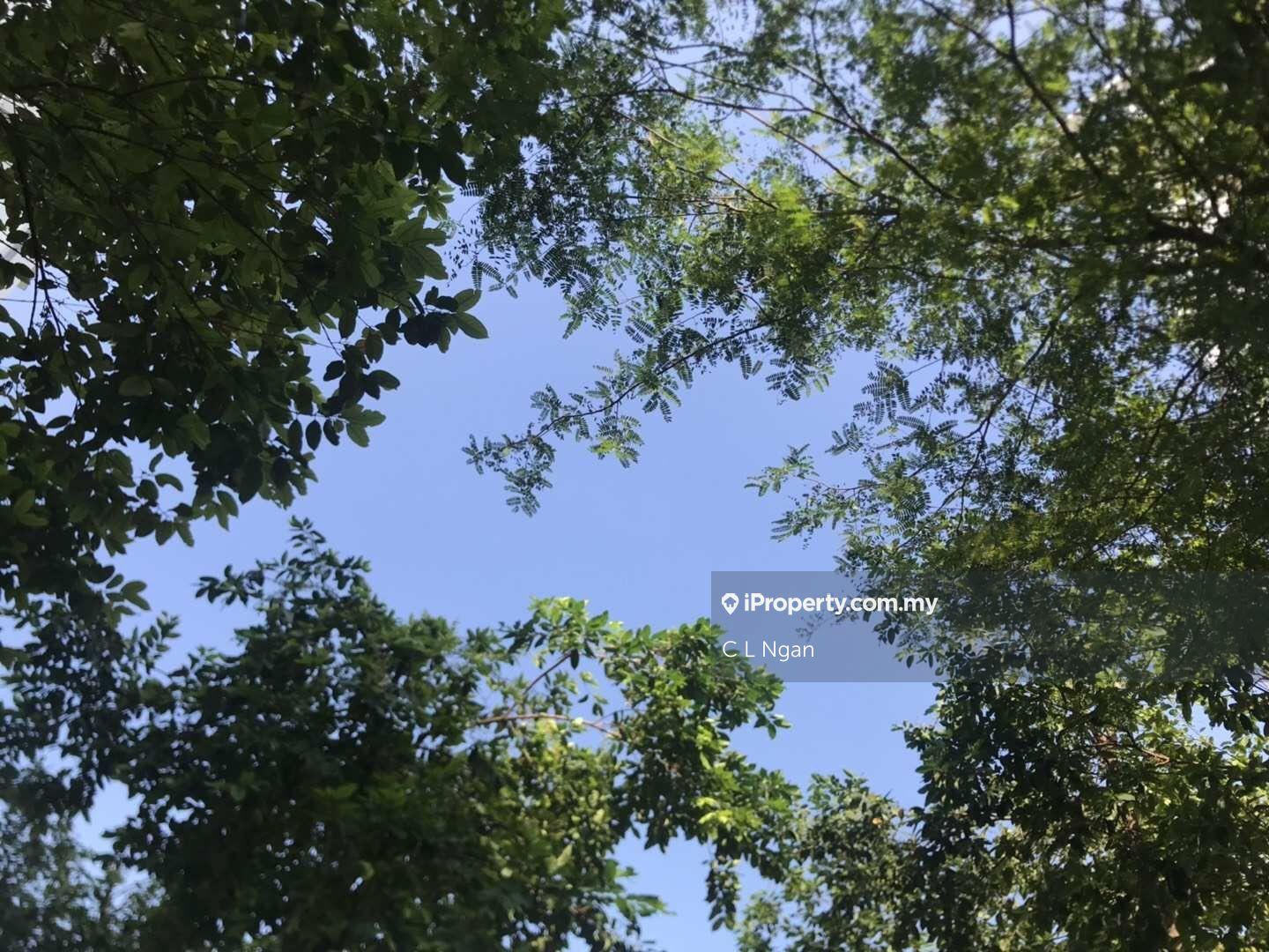 Service Residence for Rent in Jadite Suites by C L Ngan - iProperty.com.my