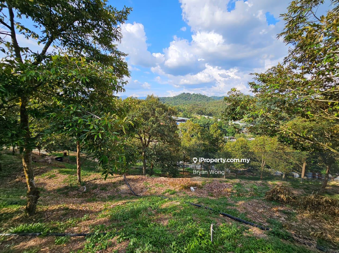 Agricultural Land for Sale in Kampung Sungai Makau, Hulu Langat by Bryan Wong - iProperty.com.my