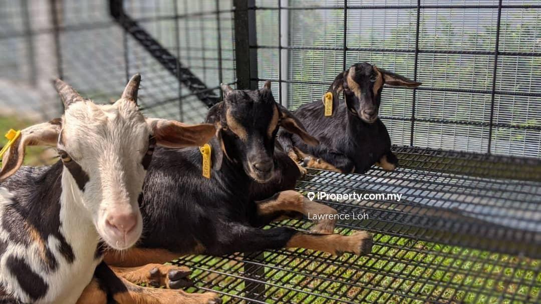 Condominium for Sale in Nidoz Residences @ Desa Petaling by Lawrence Loh - iProperty.com.my