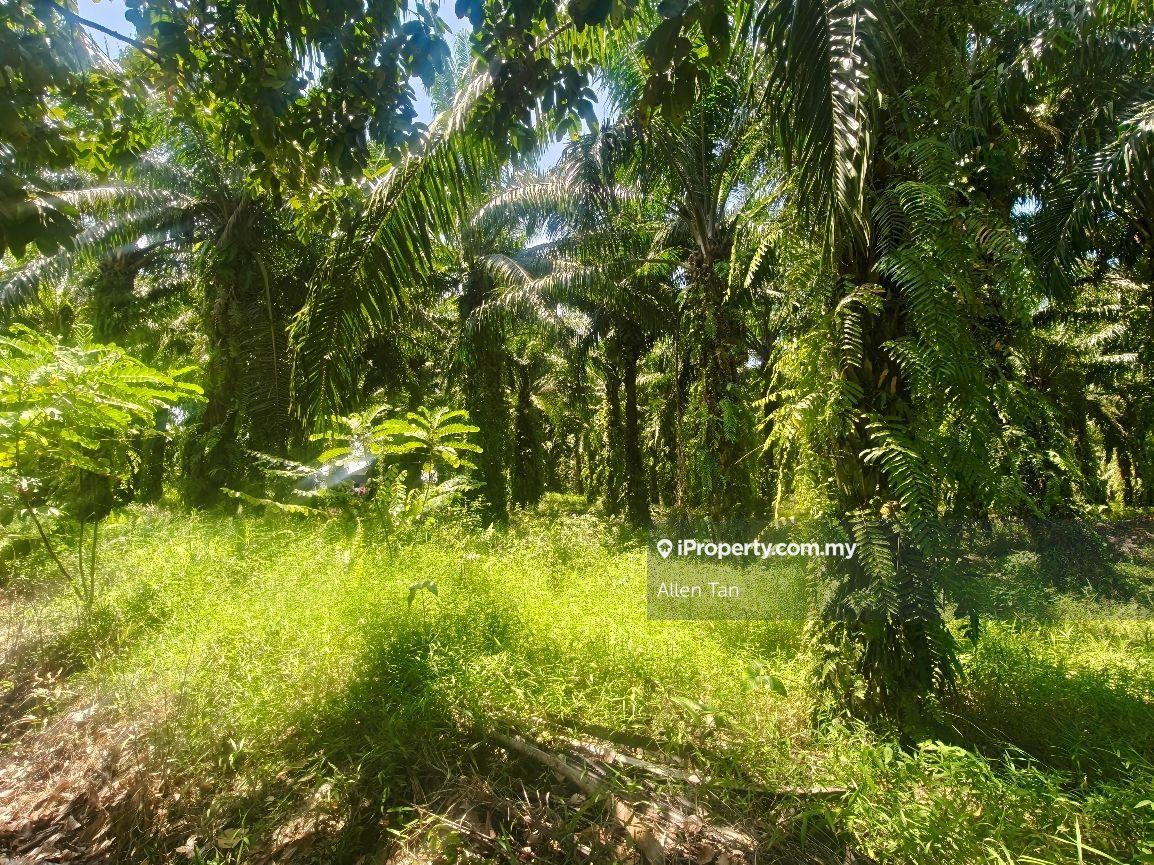 Tanah Pertanian untuk Dijual di Bandar Pontian, Pontian oleh Allen Tan - iProperty.com.my