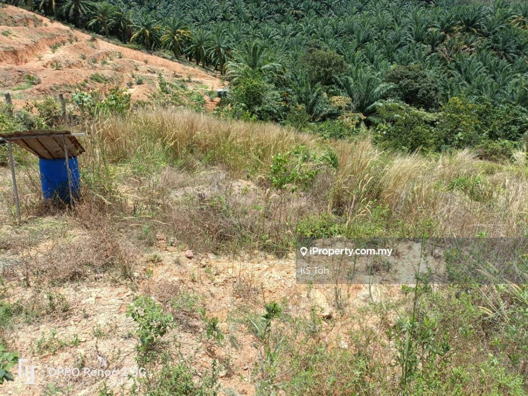 Agricultural Land for Sale in Kampung Kendong Lama, Gadong by KS Toh - iProperty.com.my