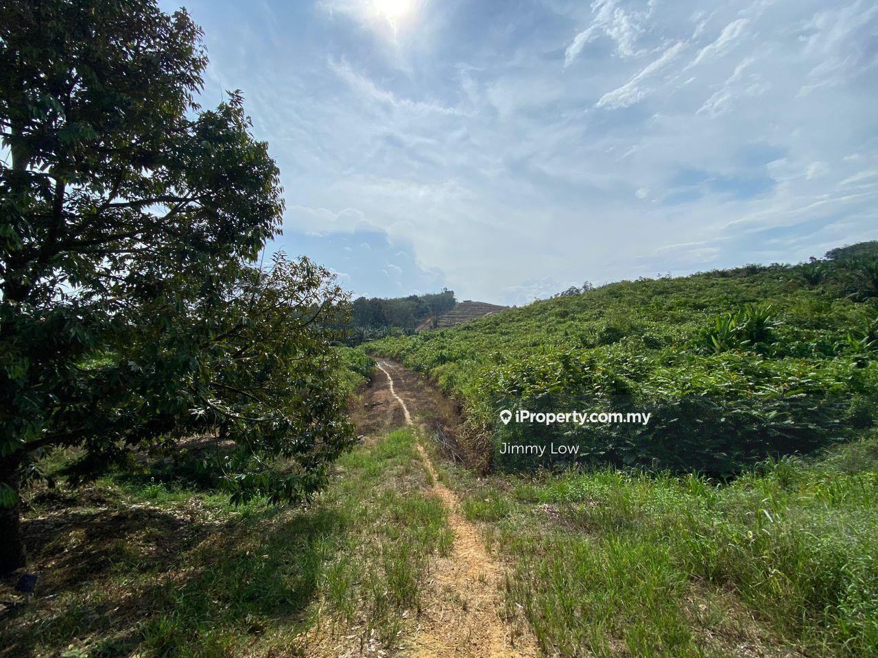 Agricultural Land for Sale in Karak, Pahang by Jimmy Low - iProperty.com.my