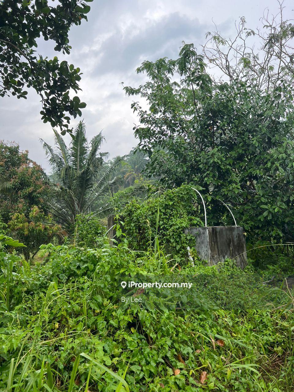 Tanah Pertanian untuk Disewa di Seelong, Senai oleh By Lee - iProperty.com.my