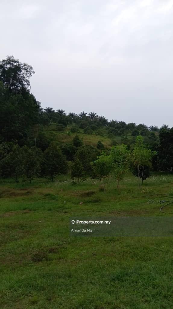 Agricultural Land for Sale in Serendah, Rawang by Amanda Ng - iProperty.com.my