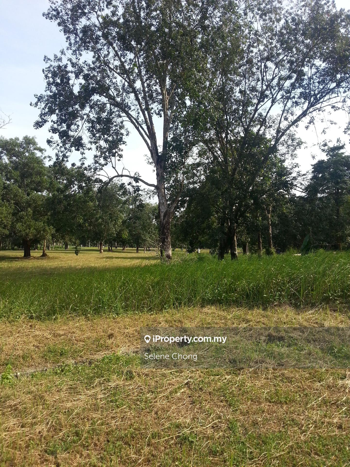 Banglo Tanah untuk Dijual di College Heights Garden Resort, Setul oleh Selene Chong - iProperty.com.my