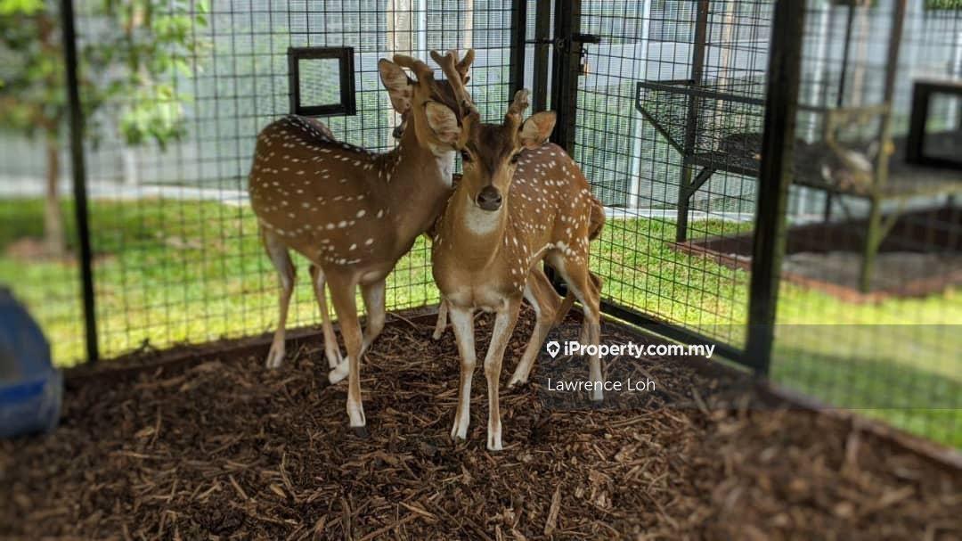 Condominium for Sale in Nidoz Residences @ Desa Petaling by Lawrence Loh - iProperty.com.my