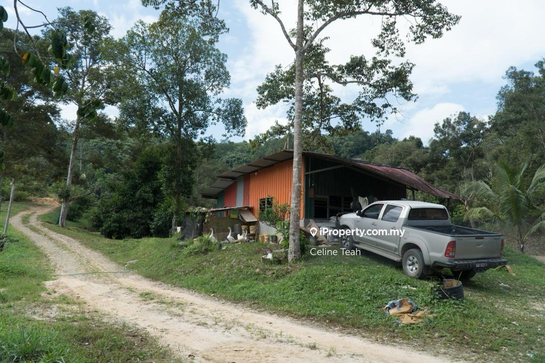 Agricultural Land for Sale in Papar Fruits Farm, Papar by Celine Teah - iProperty.com.my