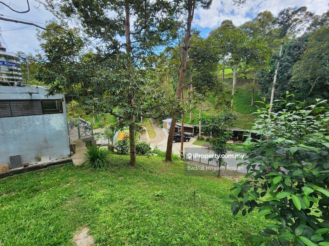 Tanah Pertanian untuk Dijual di Taman Jelebu, Kuala Klawang oleh Badrul Hisyam Roslan - iProperty.com.my