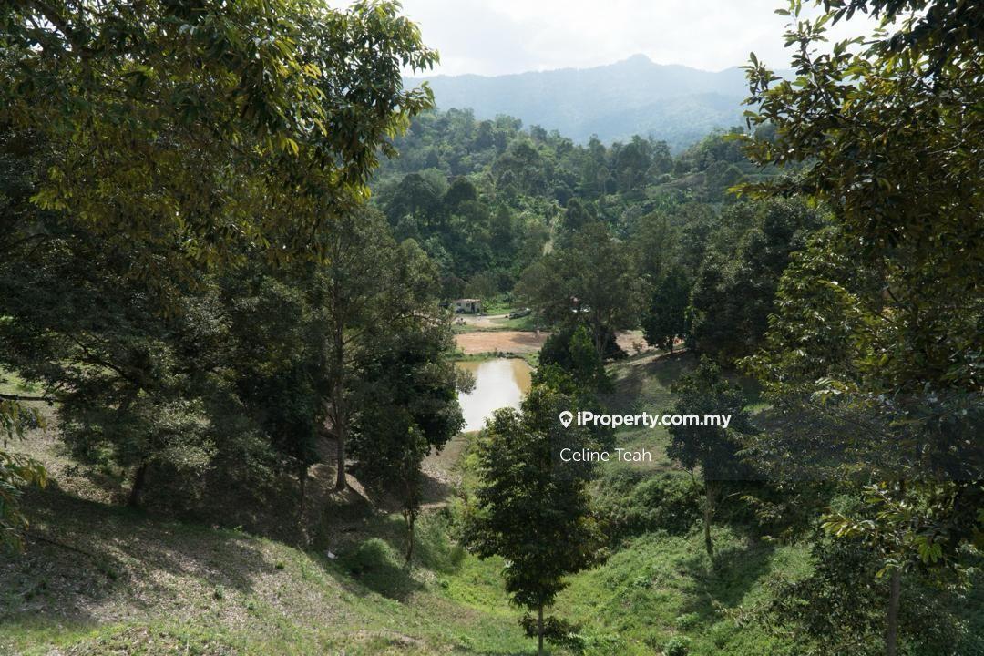 Agricultural Land for Sale in Papar Fruits Farm, Papar by Celine Teah - iProperty.com.my