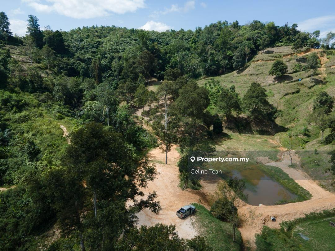 Agricultural Land for Sale in Papar Fruits Farm, Papar by Celine Teah - iProperty.com.my