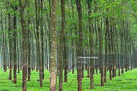 Agricultural Land for Sale in Taman Lendu Bakti, Lendu by Mr Ching - iProperty.com.my